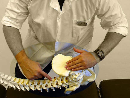 struktrurerad och systematisk ortopedisk medicin bygger på anatomi och fysiologi
