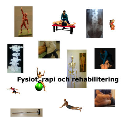 rehabilitering och fysioterapi Malmö